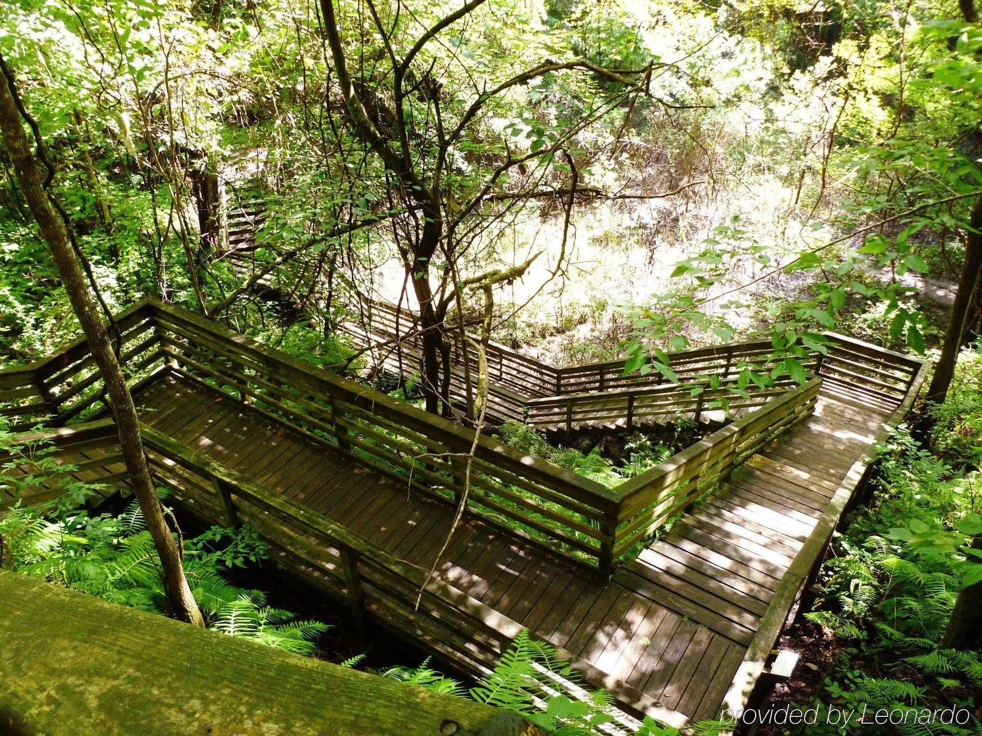 Hilton Garden Inn Gainesville Luaran gambar